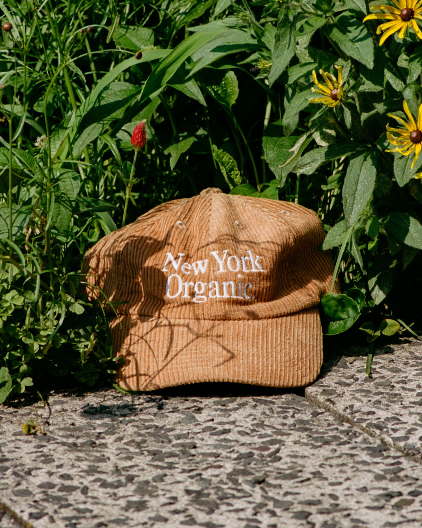 New York Organic Hat